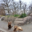 Zoo Brno