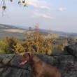 Gery a jeho lezeck� um�n� 🙂 na vrcholku Malinsk� sk�ly
