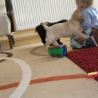 5 t�dn�, t��da baby