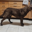 Elis 7,5 m�s�c�ch